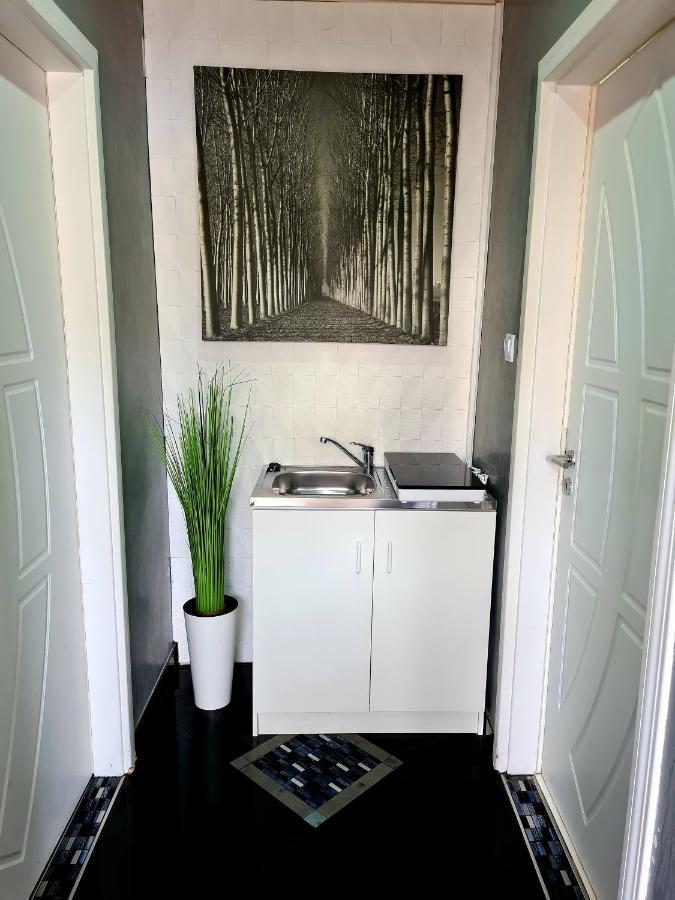 וסס Airport Luxury Apartman 42 מראה חיצוני תמונה
