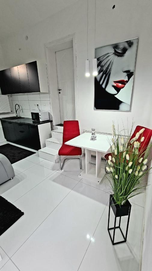 וסס Airport Luxury Apartman 42 מראה חיצוני תמונה